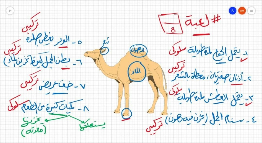 الجمل - مدرسة اون لاين.jpg